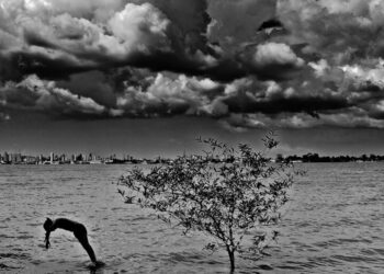 Produção fotográfica das mulheres do Pará é tema de exposição no Rio