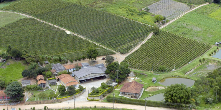 Projeto cria Sistema Nacional de Geocercas Rurais para segurança no campo