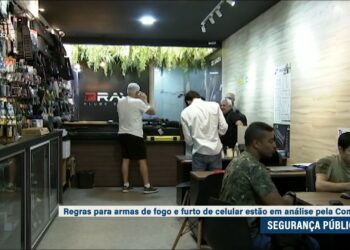 Regras para armas de fogo estão na pauta da Comissão de Segurança Pública