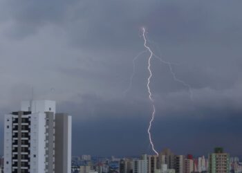 SP registra desabamentos e quedas de árvore por chuva forte