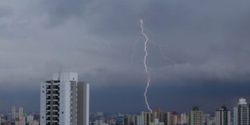 SP registra desabamentos e quedas de árvore por chuva forte