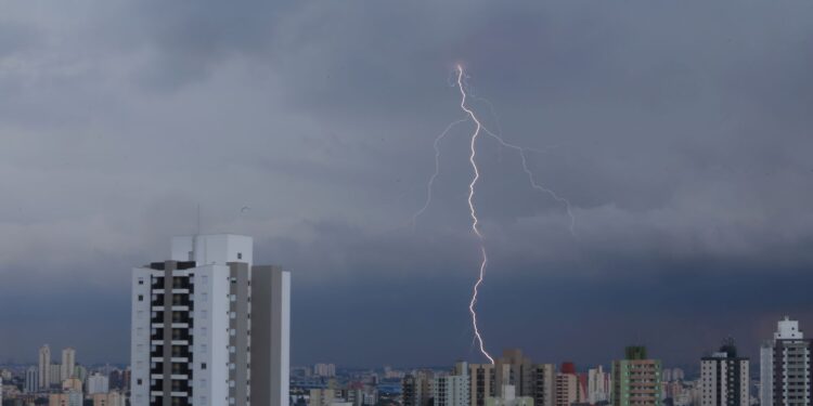 SP registra desabamentos e quedas de árvore por chuva forte
