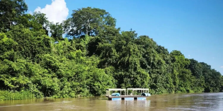 Mistério na fronteira: Piloto some após pouso de avião com drogas