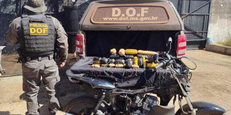 DOF apreende 13,7 kg de haxixe marroquino em Amambai