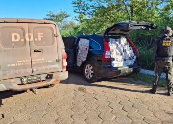 Ação do DOF termina com apreensão de cigarros contrabandeados na fronteira