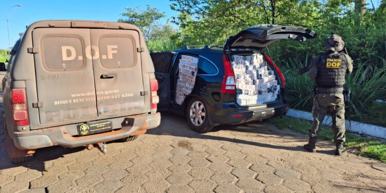 Ação do DOF termina com apreensão de cigarros contrabandeados na fronteira