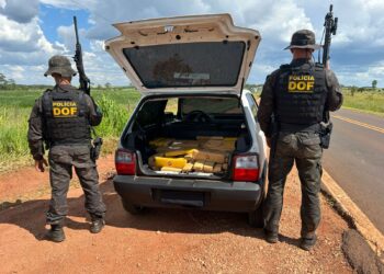 DOF apreende mais de 300 quilos de maconha em Ponta Po