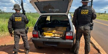 DOF apreende mais de 300 quilos de maconha em Ponta Po