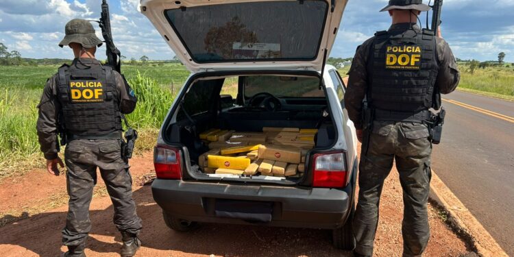 DOF apreende mais de 300 quilos de maconha em Ponta Po