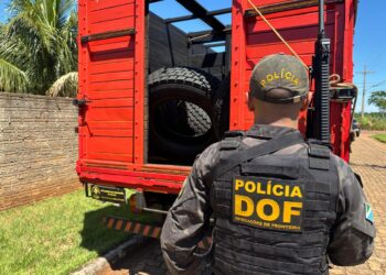 DOF apreende caminhão com pneus estrangeiros