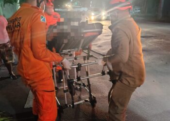 Adolescente sofre ataque de cão “caramelo” em Corumbá