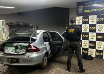 DOF apreende carga de agrotóxicos contrabandeados em Maracaju