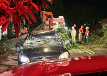 Temporal derruba árvore e destrói carro no Jardim São Lourenço