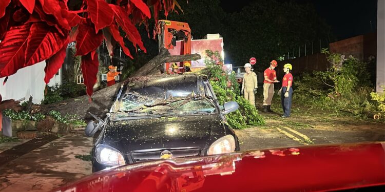 Temporal derruba árvore e destrói carro no Jardim São Lourenço