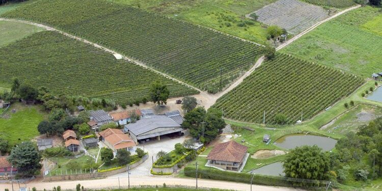 Nova ferramenta tecnológica promete reforçar segurança no campo