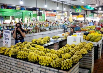 Proposta estabelece novo marco legal para proteger feirantes tradicionais