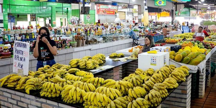 Proposta estabelece novo marco legal para proteger feirantes tradicionais