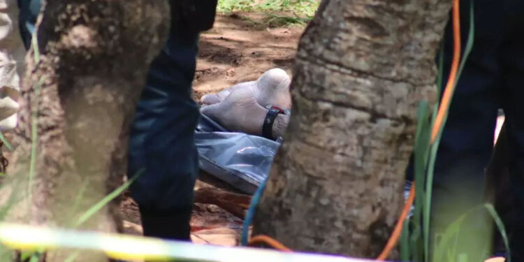 Desova de cadáver em cachoeira do Inferninho choca moradores