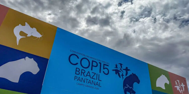 Pantanal sob pressão climática pauta debates na COP15