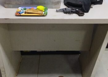 Fiscalização em reciclagem termina com apreensões e resgate de animal