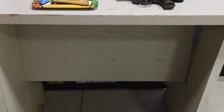 Fiscalização em reciclagem termina com apreensões e resgate de animal