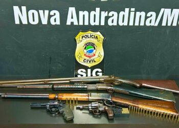 Polícia Civil esclarece furto de gado, recupera semoventes e prende receptadores em Nova andradina
