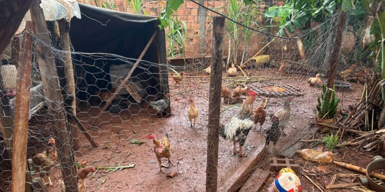 Polícia Civil prende homem por poluição ambiental em Campo Grande