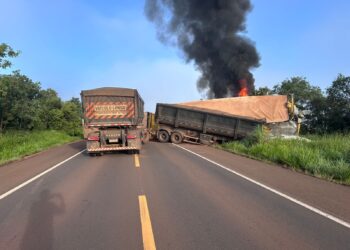 Ação de Delegado de Polícia evita morte em acidente na rodovia BR 262, próximo a Água Clara