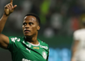 Palmeiras derrota Botafogo e assume liderança do Campeonato Brasileiro