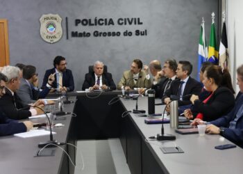 Departamento de Polícia do Interior realiza reunião de trabalho para alinhamento institucional de demandas