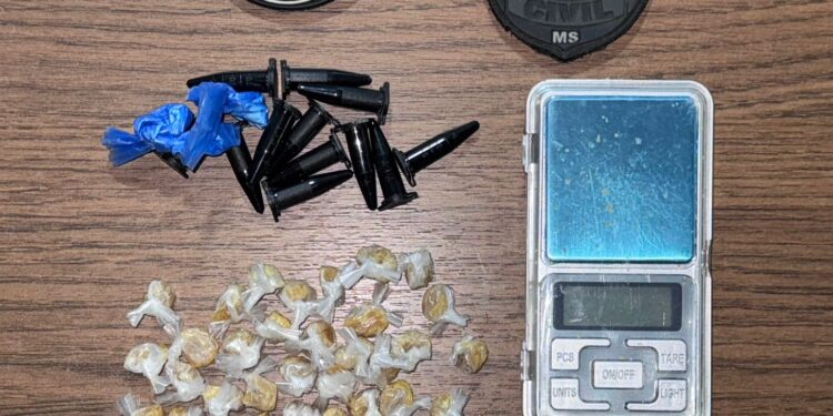 Polícia Civil de Mato Grosso do Sul prende mulher em flagrante por tráfico de drogas em Bela Vista