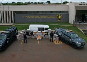 Polícia Civil apreende 2 toneladas de drogas em área de lazer em Dourados