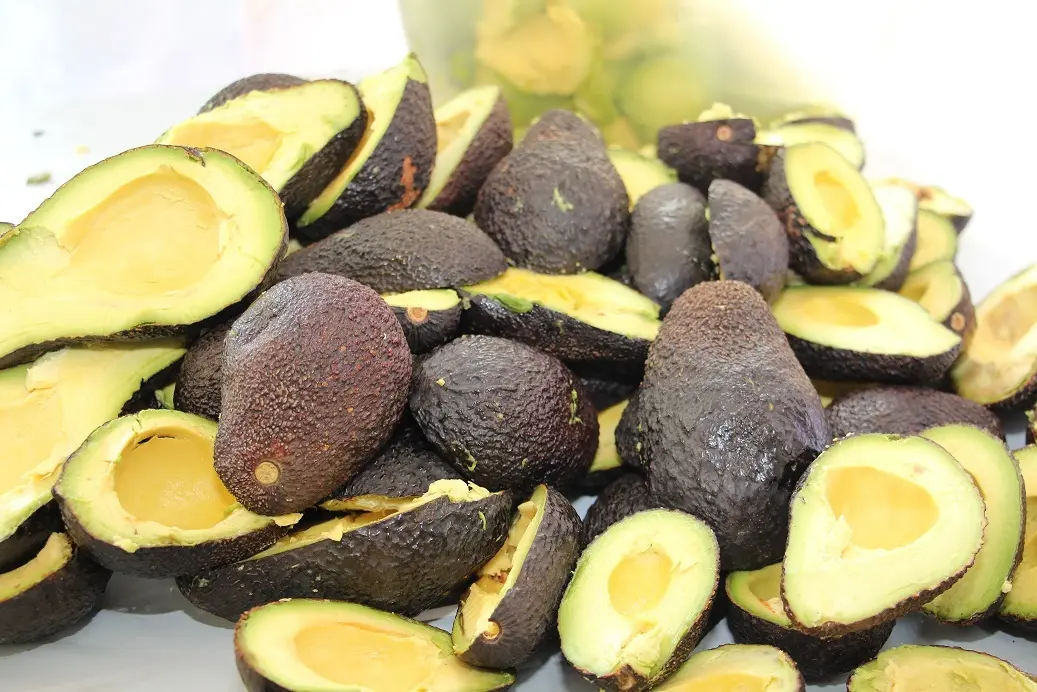 Estado de Minas Gerais concentra um dos fotos de crescimento na produção e exportação de avocado.