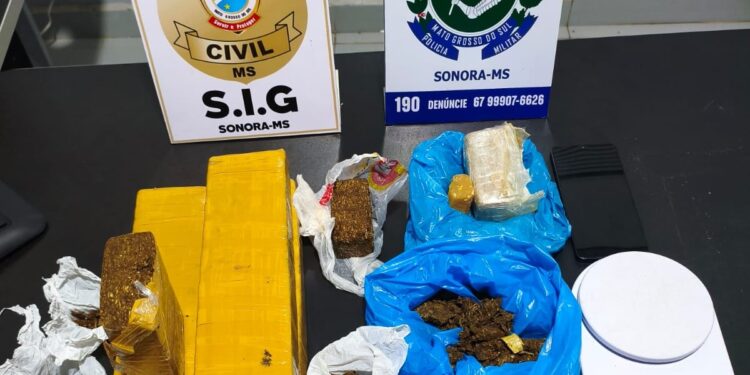 Polícia Militar e Polícia Civil fecham duas bocas de fumo, apreende drogas e dinheiro em Sonora