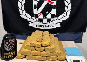 Polícia Militar em Três Lagoas realiza prisão de autora de tráfico de drogas