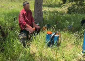 Força-tarefa resgata trabalhadores em situação análoga à escravidão no Pantanal