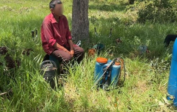 Força-tarefa resgata trabalhadores em situação análoga à escravidão no Pantanal