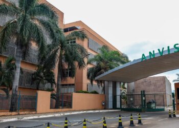 Anvisa: suplementos com cúrcuma podem trazer risco de danos ao fígado