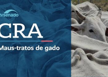 Ao vivo: CRA debate maus-tratos a gado apreendido pelo Ibama – 4/3/26