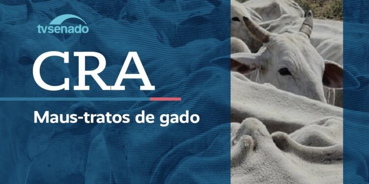 Ao vivo: CRA debate maus-tratos a gado apreendido pelo Ibama – 4/3/26
