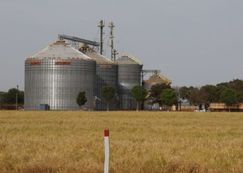 Brasil tem sexto maior crescimento no ranking das economias do G20