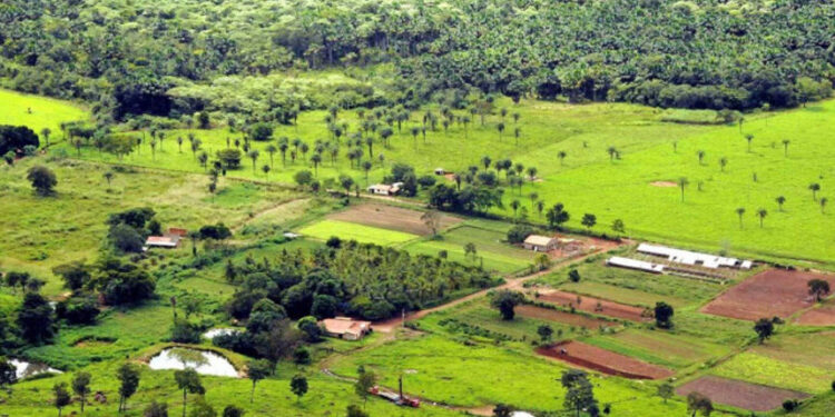 CAE analisa isenção de ITR em terras invadidas e mantém litígio sob a União