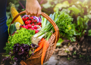 CRA vota projeto para facilitar doação de alimentos e combater desperdício