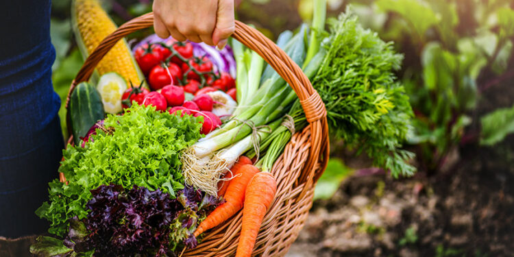 CRA vota projeto para facilitar doação de alimentos e combater desperdício