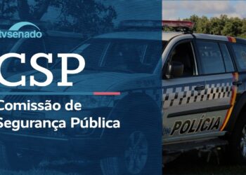 CSP analisa autorização para lei penal estadual - 17/3/26
