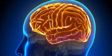 Cérebro cansado? Saiba por que fazer pausa aumenta sua produtividade