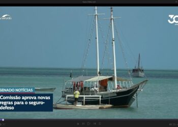 Comissão aprova MP com novas regras para coibir fraude no seguro-defeso
