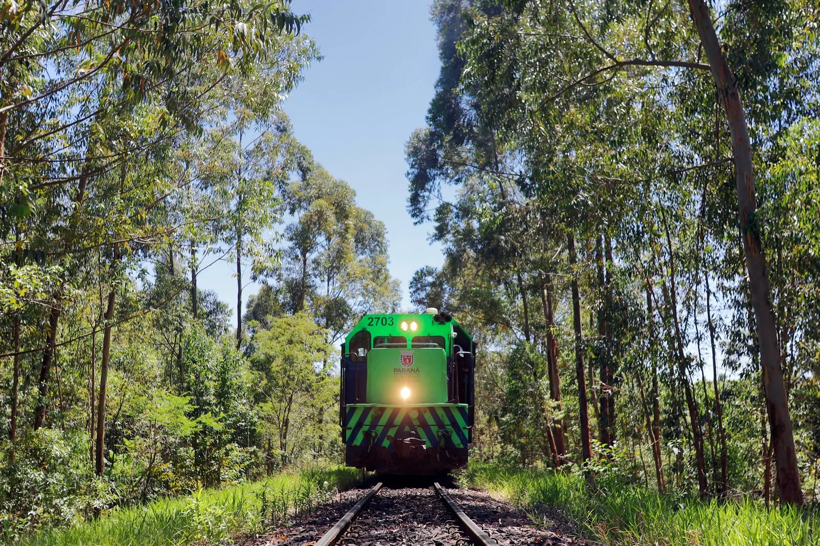 Convergência ou o desalinhamento dos processos envolvendo as duas ferrovias pode determinar o futuro logístico do Sul.