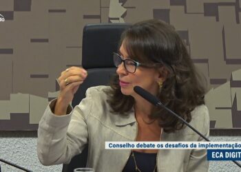 Conselho de Comunicação Social destaca importância da implementação do ECA Digital