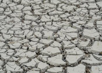 Estiagem: quinze cidades têm situação de emergência decretada